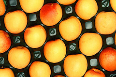 apricots.jpg