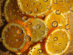 orange2.jpg