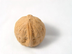 walnut_by_pietroizzo.jpg